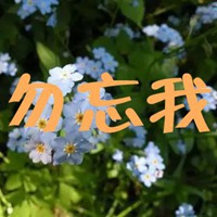 勿忘我图片加字 伤感勿忘我图片带字