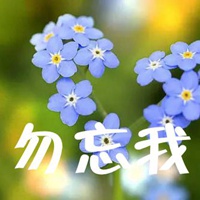 勿忘我图片加字 伤感勿忘我图片带字