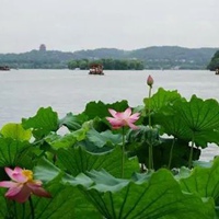 夏天真实风景图片 很真实的夏季景色图片