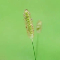 我的极简生活图片 极简生活方式图片