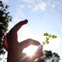 手遮太阳唯美图片 女生伸手遮太阳唯美图片