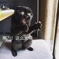 我的悲伤那么大猫图片 悲伤辣么大猫咪表情图