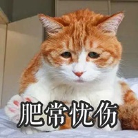 我的悲伤那么大猫图片 悲伤辣么大猫咪表情图