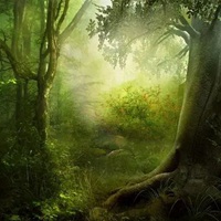 动漫森林图片 动漫唯美梦幻的森林场景图片