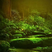 动漫森林图片 动漫唯美梦幻的森林场景图片