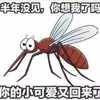 被蚊子咬幽默调侃图片 被蚊子咬的图片搞笑