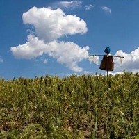 稻草人真实图片 稻草做的稻草人图片