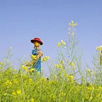 稻草人真实图片 稻草做的稻草人图片