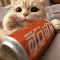 小猫抱着饮料瓶的头像 小猫咪抱可乐罐的头像