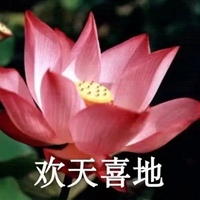 花的带字图片头像 好看的花头像带上字