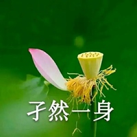 花的带字图片头像 好看的花头像带上字