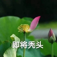 花的带字图片头像 好看的花头像带上字