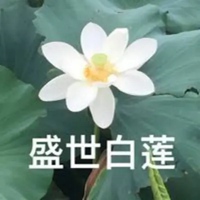 花的带字图片头像 好看的花头像带上字