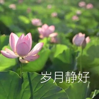 花的带字图片头像 好看的花头像带上字