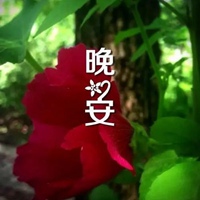 花的带字图片头像 好看的花头像带上字