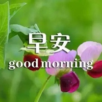 花的带字图片头像 好看的花头像带上字