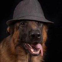 黑狗头像 戴帽子的狗狗头像