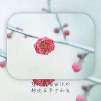 搜索带字的花朵头像-好看的花带上字头像