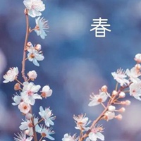 搜索带字的花朵头像-好看的花带上字头像