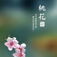 搜索带字的花朵头像-好看的花带上字头像