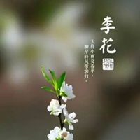 搜索带字的花朵头像-好看的花带上字头像