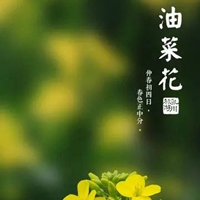 搜索带字的花朵头像-好看的花带上字头像