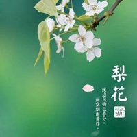 搜索带字的花朵头像-好看的花带上字头像