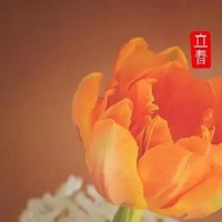 搜索带字的花朵头像-好看的花带上字头像