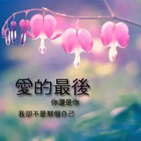 搜索带字的花朵头像-好看的花带上字头像