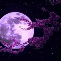 月亮微信头像唯美-简约唯美小月亮头像