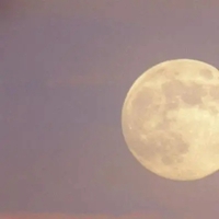 月亮微信头像唯美-简约唯美小月亮头像