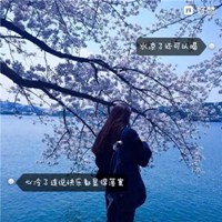 女生背影头像带字伤感 伤感图片女生背影带字头像