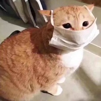 猫咪口罩头像 猫咪戴口罩可爱头像