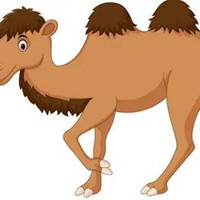 骆驼头像 唯美卡通骆驼头像