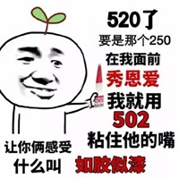 520表情包