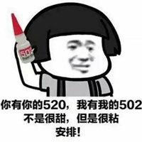 520表情包