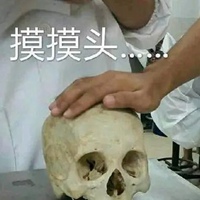 qq摸头表情包