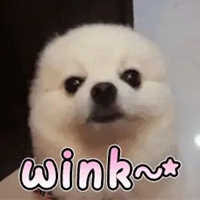 wink表情包