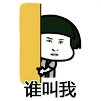 探头表情包