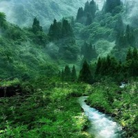 湖泊河流头像 真实河流湖泊景色头像