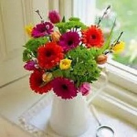 花盆里的鲜花图片头像 花盆鲜花唯美头像