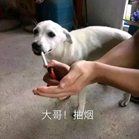 抽烟表情包