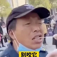 核酸表情包