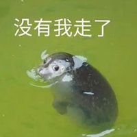 海豹表情包