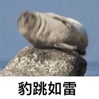 海豹表情包