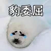 海豹表情包