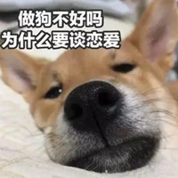 狗东西表情包