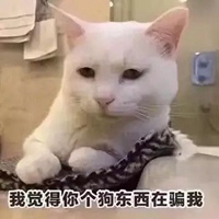 狗东西表情包