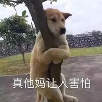 狗子表情包