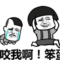 笨蛋表情包